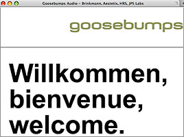 Goosebumps Audio
Auftrag: Namensfindung, Int...